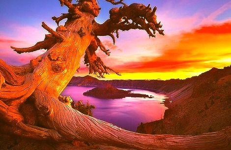 Sunset, Crater Lake, Oregon 