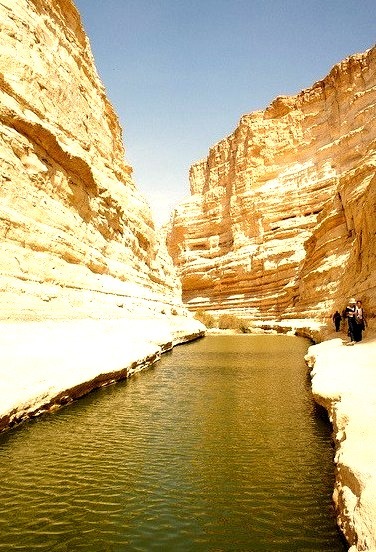 Pool of water in Ein Avdat Canyon, Israel
