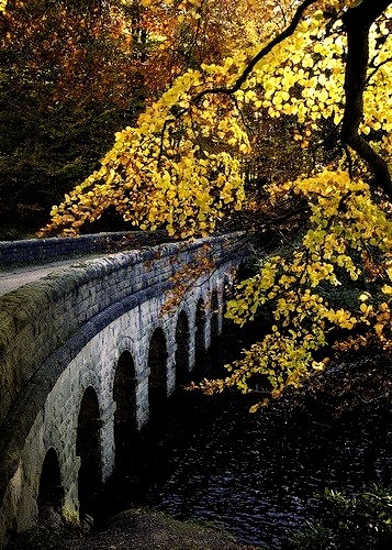 Stone bridge across Derwent River in Derbyshire, England