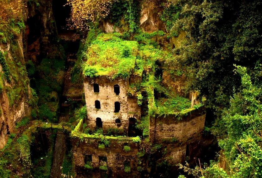 Overgrown, Sorrento, Italy