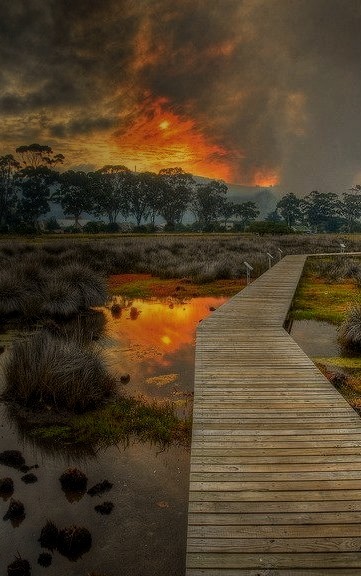Wooden trail at Knysna Lagoon, South Africa