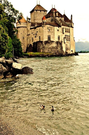 Rainy day at Chillon Castle, Vaud / Switzerland